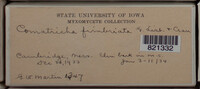 Image Associated With the Occurence
